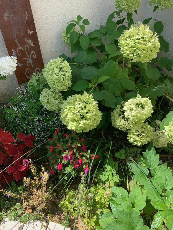 La Glycine B&B Sainte-Colombe  Екстер'єр фото